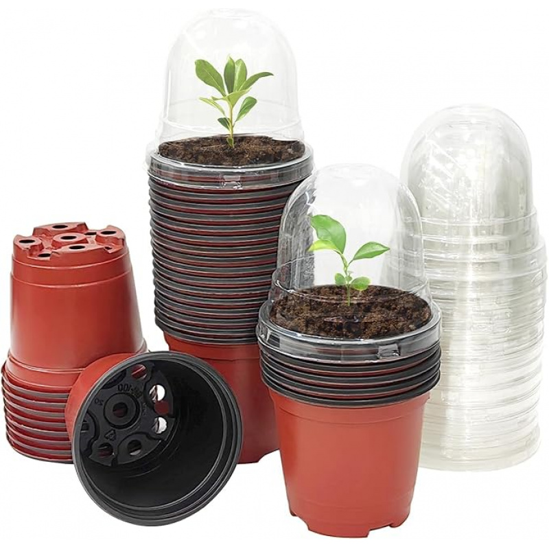 Plant Nursery Pot with Humidit - đánh giá và giá Baby Nursery Plants