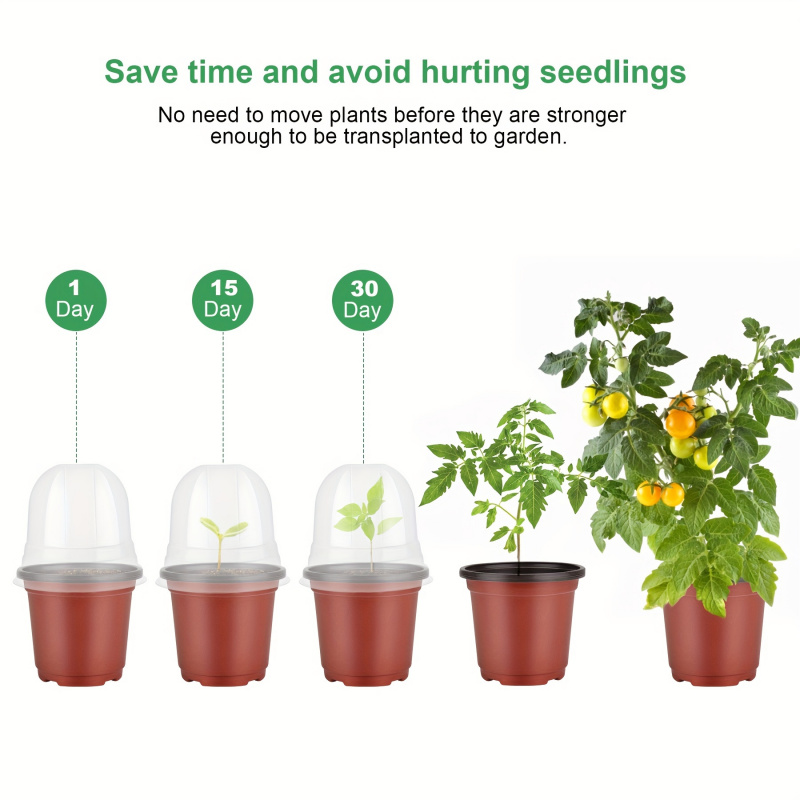 Plant Nursery Pot with Humidit - đánh giá và giá Baby Nursery Plants