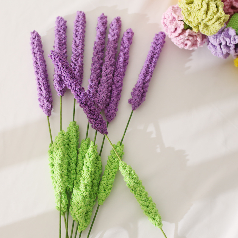Vòng Tay Móc Sợi Hoa Hồng Tran - đánh giá và giá Baby Nursery Plants